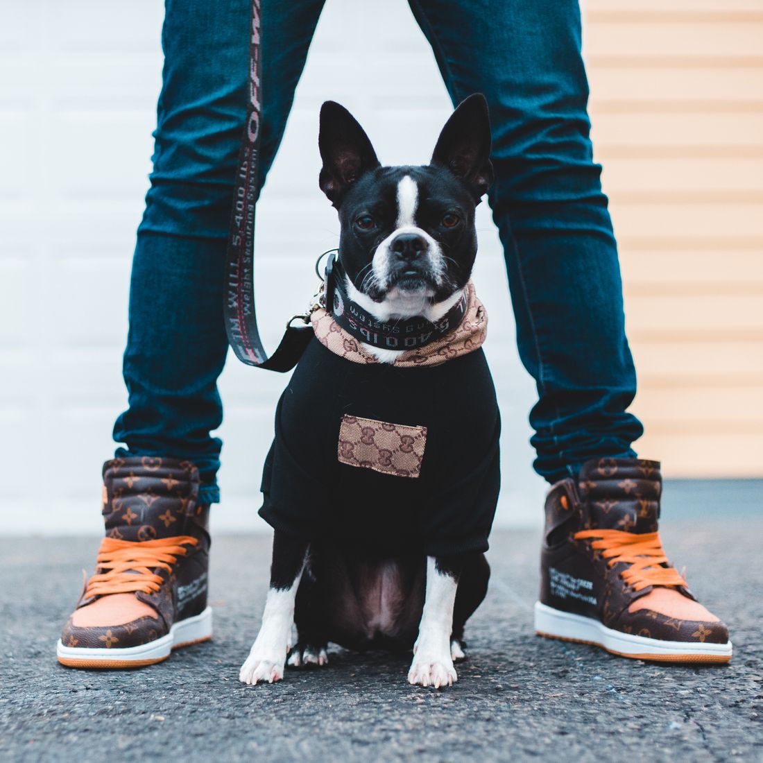 Reflective Leash 1.5m