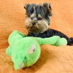Crocodile Plush Toy