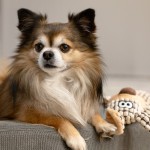 Fluffy Plush Buddy